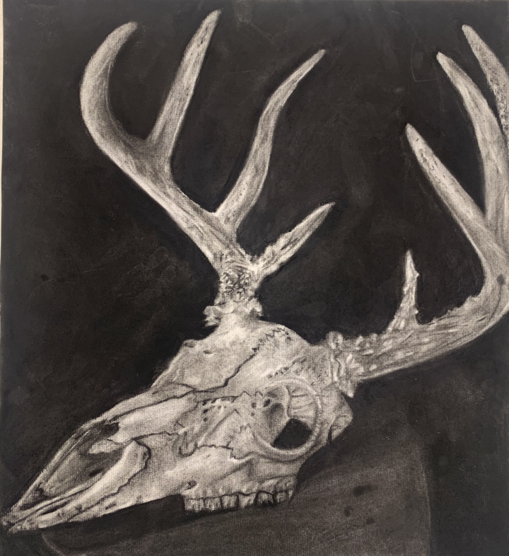 Charcoal Skull Artwork