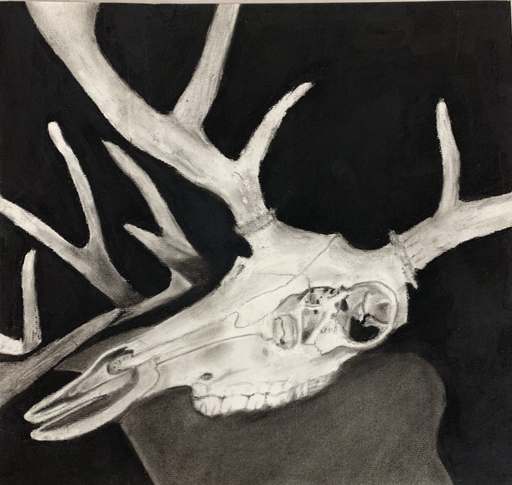 Charcoal Skull Artwork