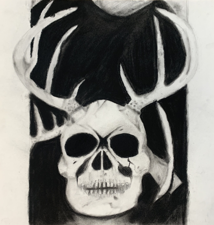 Charcoal Skull Artwork