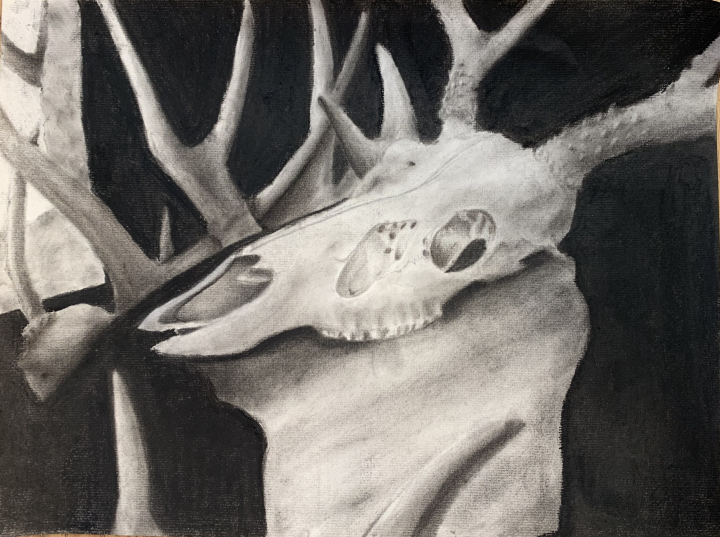 Charcoal Skull Artwork