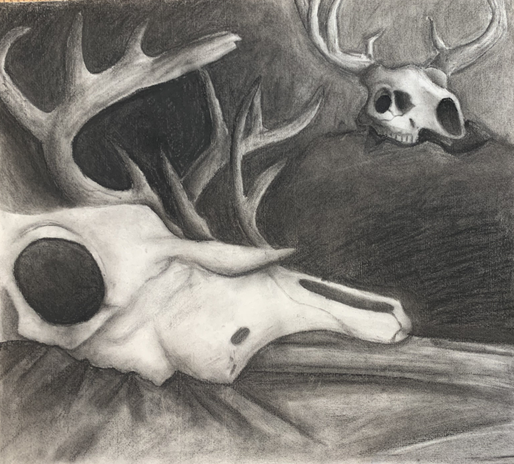 Charcoal Skull Artwork