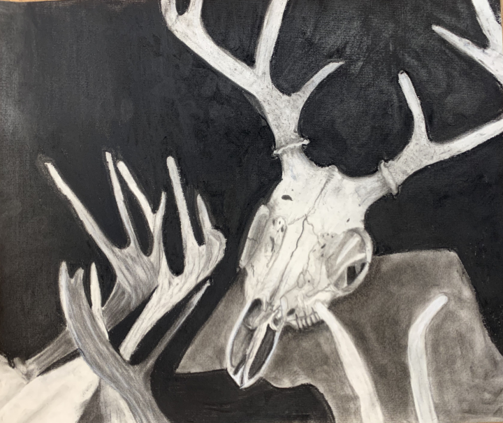 Charcoal Skull Artwork