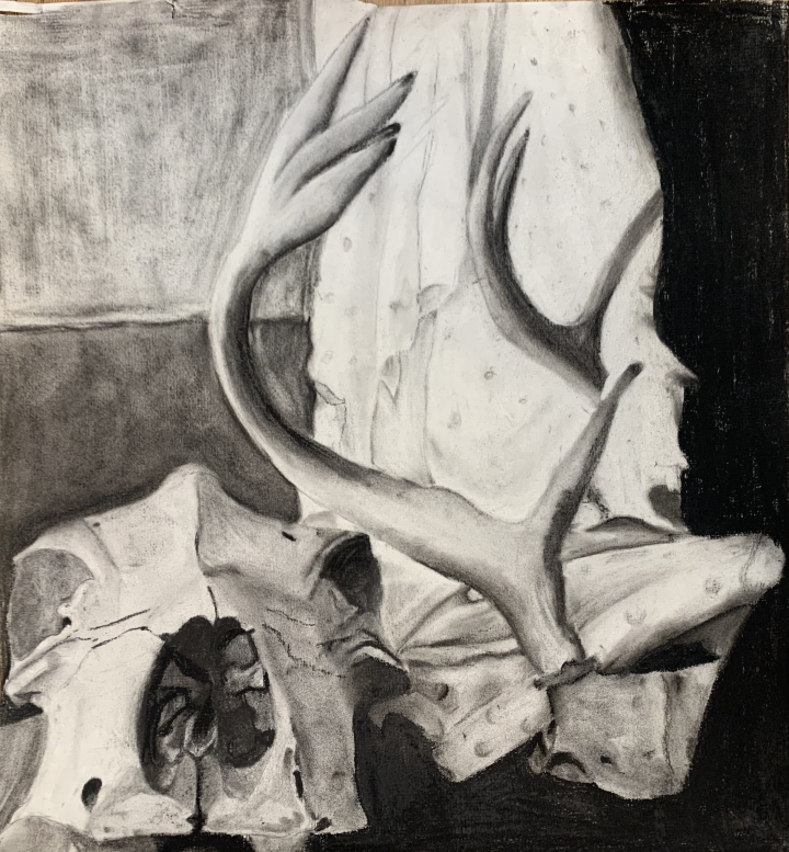 Charcoal Skull Artwork