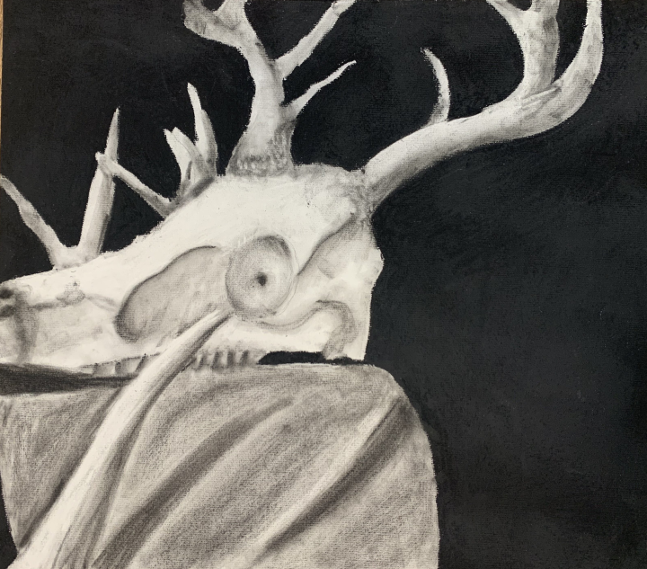 Charcoal Skull Artwork