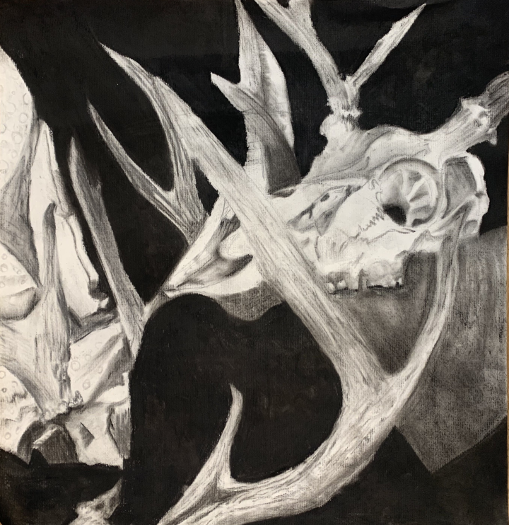 Charcoal Skull Artwork