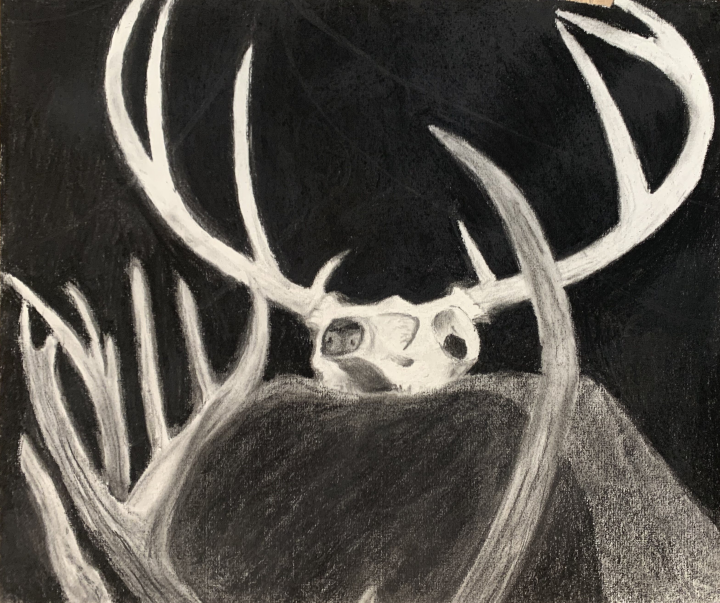 Charcoal Skull Artwork
