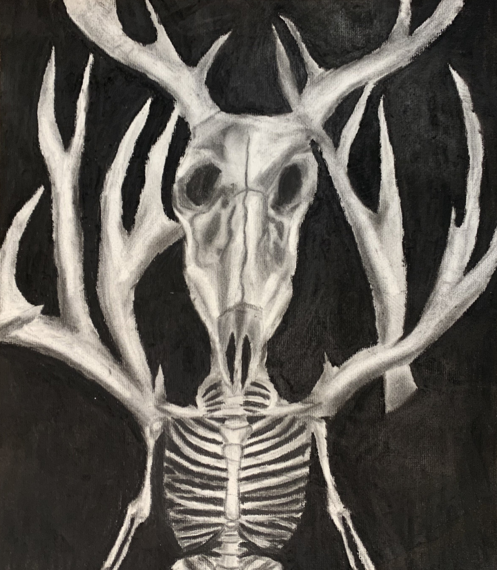 Charcoal Skull Artwork