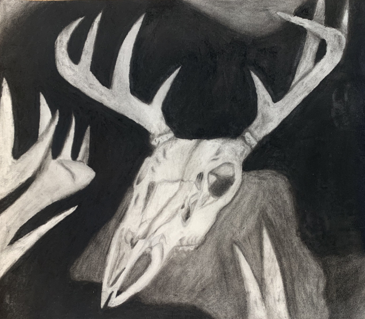 Charcoal Skull Artwork