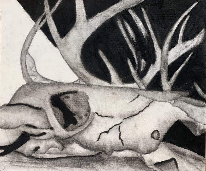 Charcoal Skull Artwork