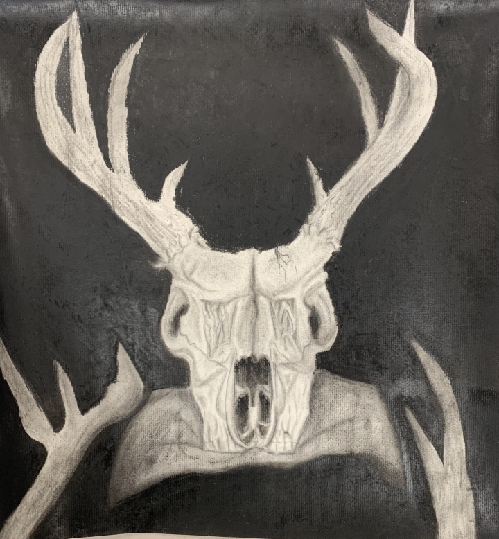 Charcoal Skull Artwork