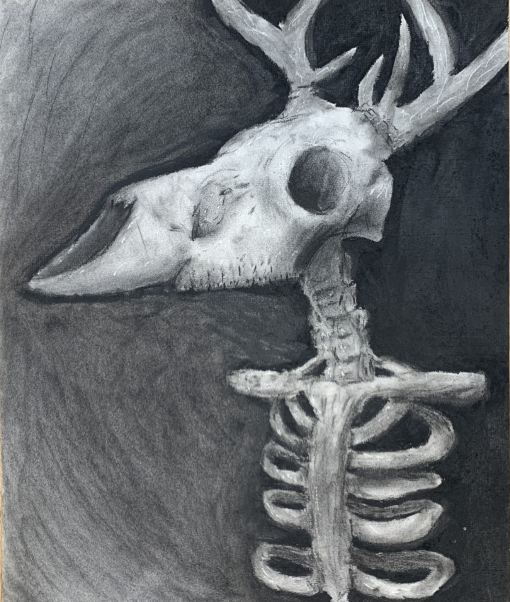 Charcoal Skull Artwork