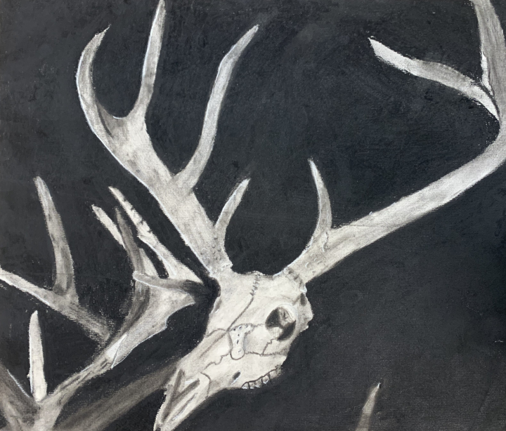 Charcoal Skull Artwork