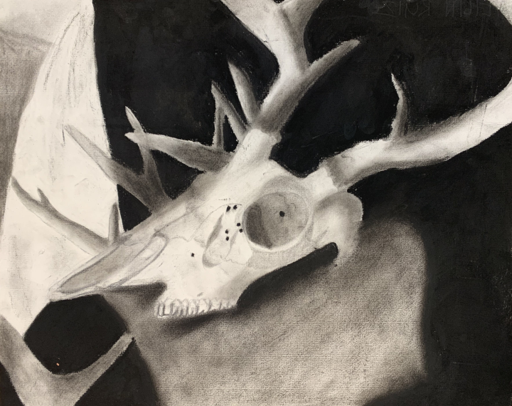 Charcoal Skull Artwork