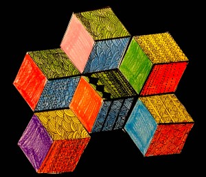 12697221_1027685640607278_372518858725224125_o