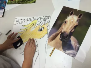Horse Portrait Oil Pastel Drawing Art Lesson