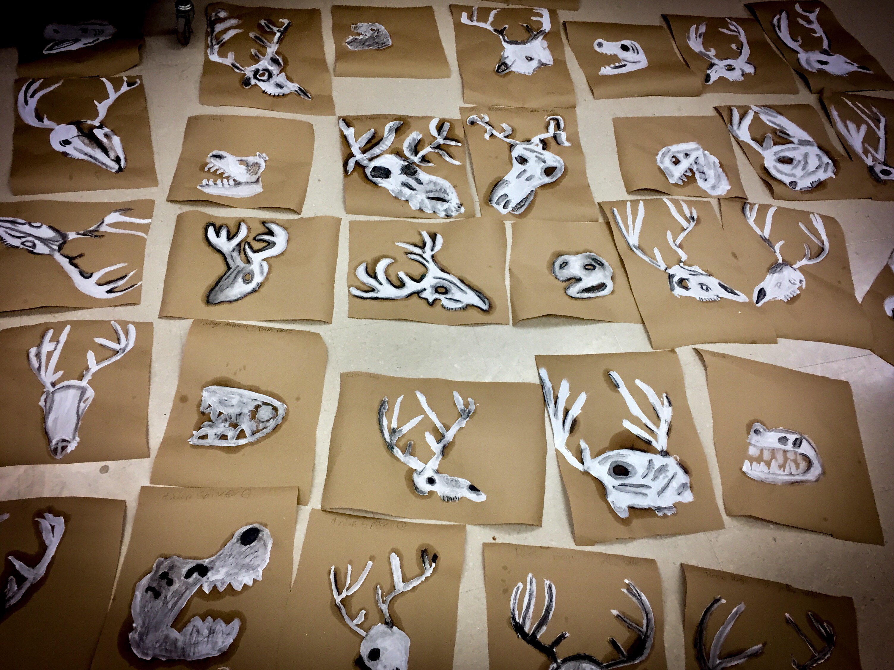 Featured: Skull Painting | Acrylic Lesson Plan