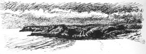 DSC09695
